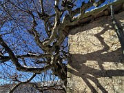 CASTEL REGINA e PIZZO CERRO innevati da Catremerio (11febb21) - FOTOGALLERY